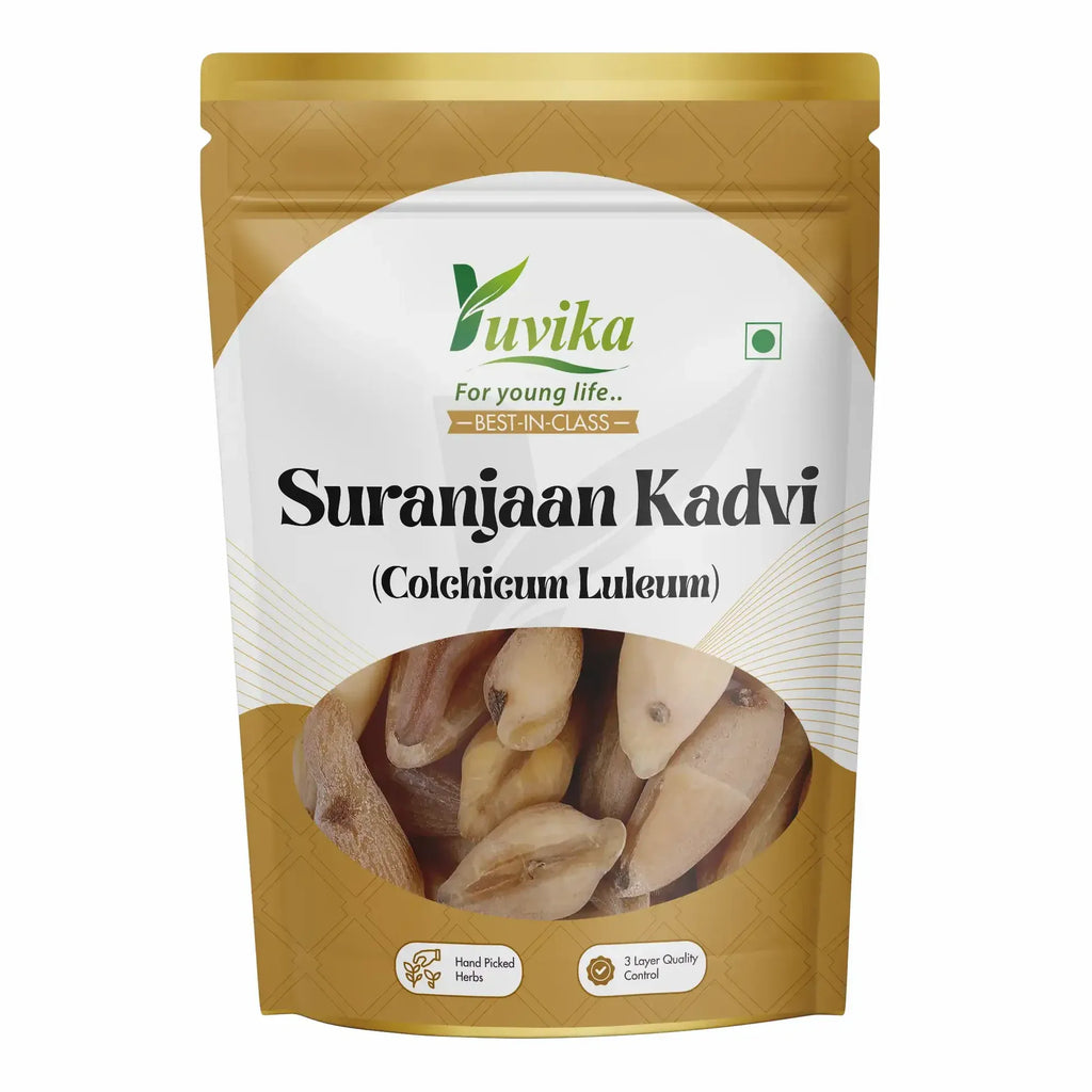 Yuvika Suranjaan Kadvi Suranajan Kadwi Colchicum Luleum Suranjan Bitter