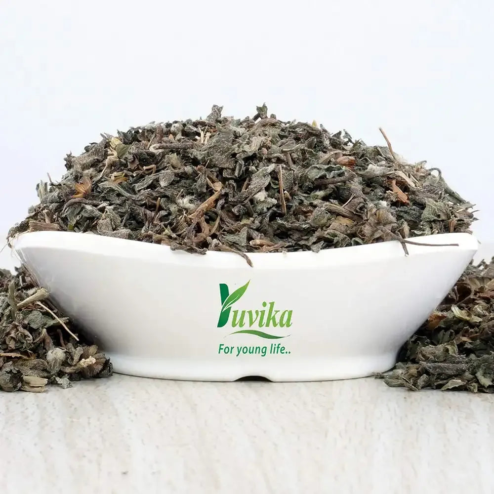 Yuvika Bhringraj Leaves - Bhangra - Eclipta Alba