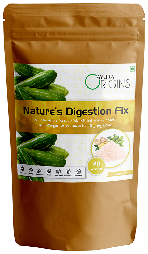 Ayura Origins Nature's Digestion Fix Powder