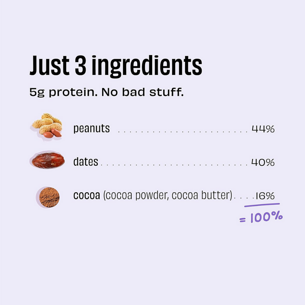 The Whole Truth Energy Bars - Peanut Choco Fudge