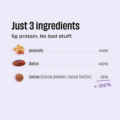 The Whole Truth Energy Bars - Peanut Choco Fudge