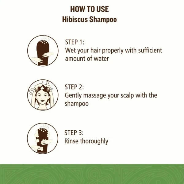 SoulTree Hibiscus Shampoo With Honey And Aloe Vera - 250 ml