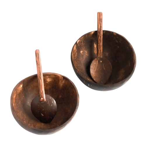 Thenga Artisan Mini Coconut Shell Bowl with Spoon