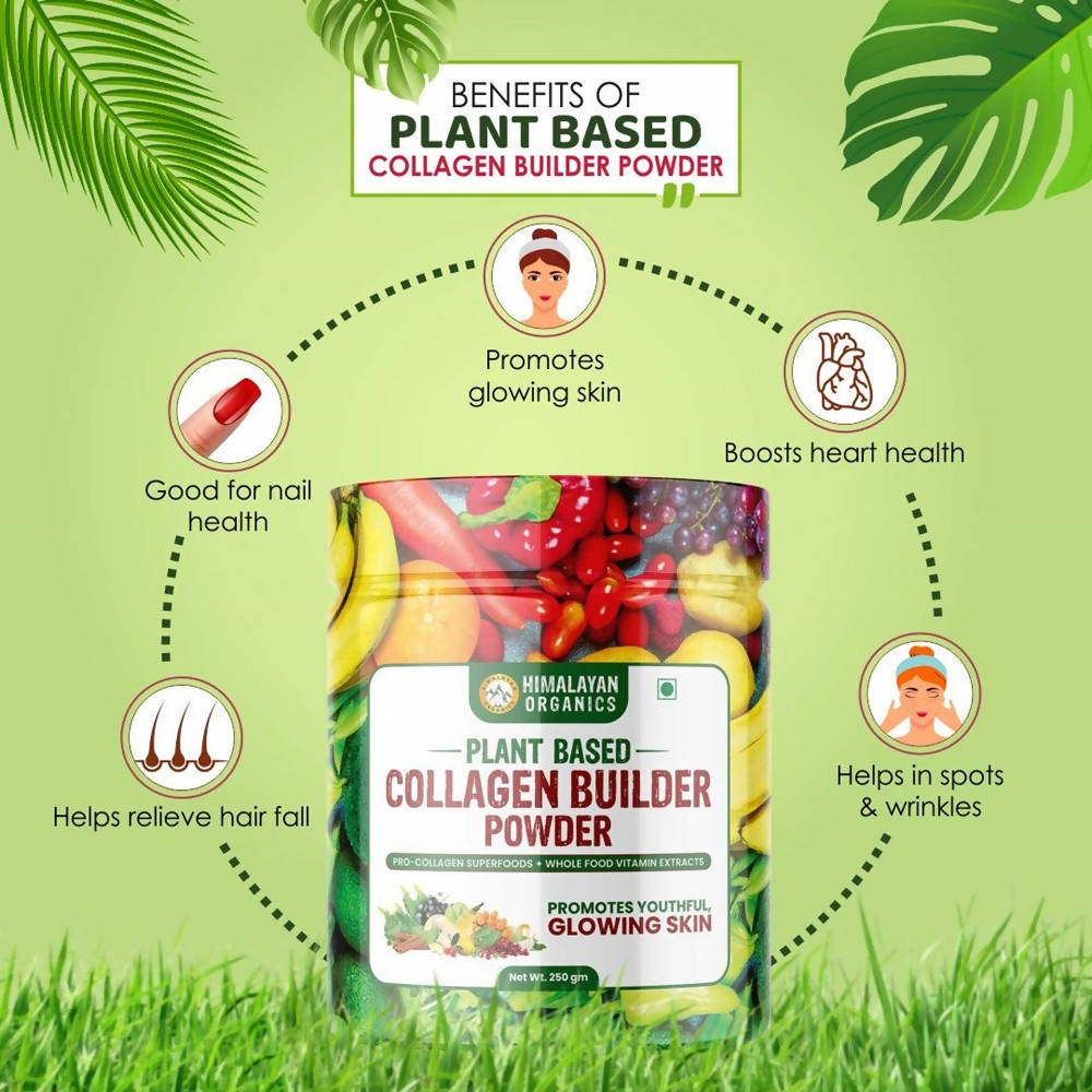 Himalayan Organics Plant Based Collagen Builder Powder - 250 gms