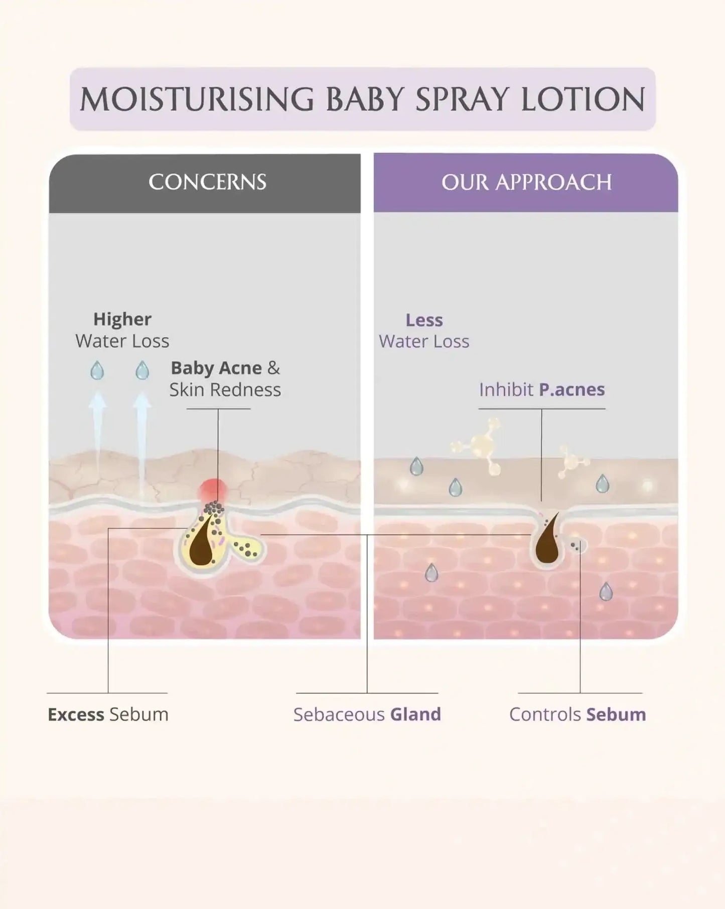 AreoVeda Newborn Bath Ritual