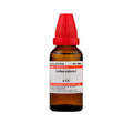 Dr. Willmar Schwabe India Ledum Palustre Dilution