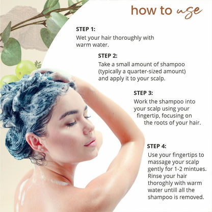 Globus Naturals Amla Reetha Shikakai Shampoo