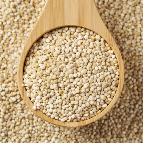 Yuvika Herbs White Quinoa Seeds