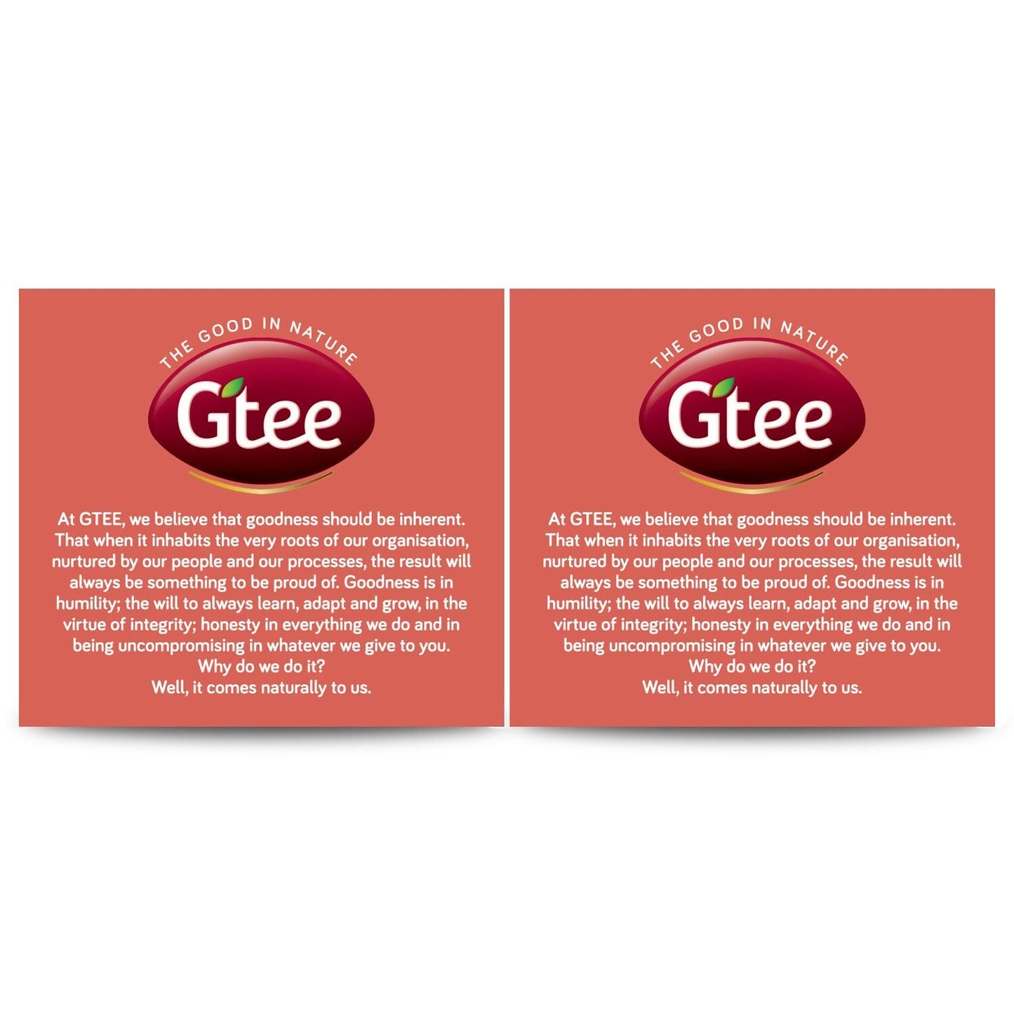 Gtee Green Tea Bags - Jasmine