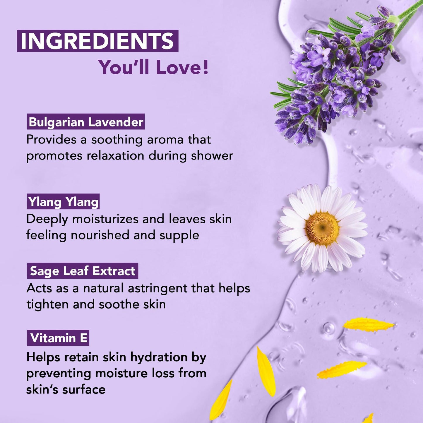 Botanic Hearth Bulgarian Lavender & Ylang Ylang Body Wash with Vitamin E, Sage Leaf Extracts