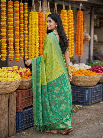 Anaita Parrot Pochampally Silk Woven Saree With Blouse
