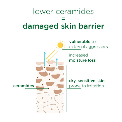 Simple Skin Barrier Cream Cleanser