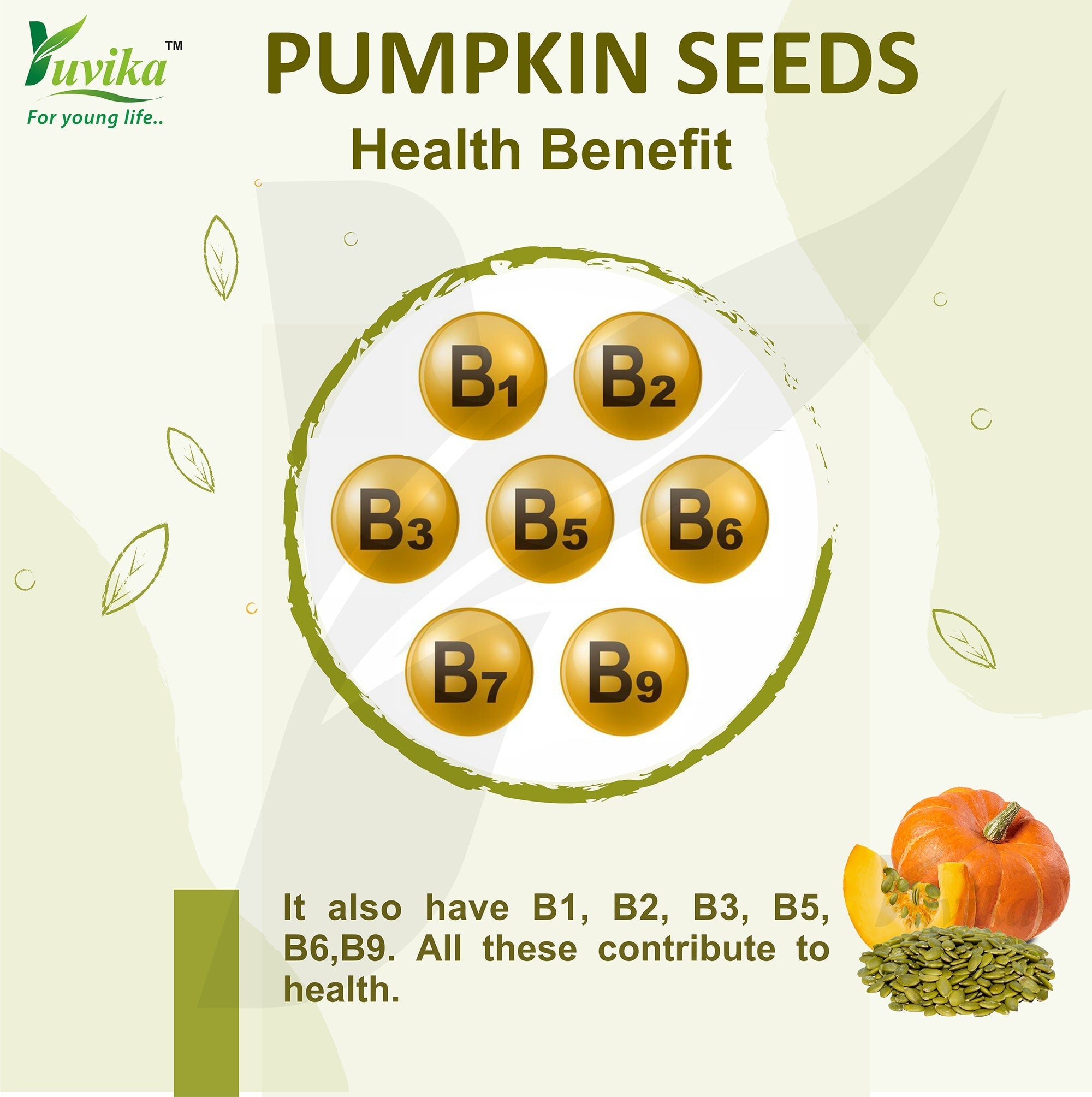 Yuvika Pumpkin Seeds - Magaz Sitaphal
