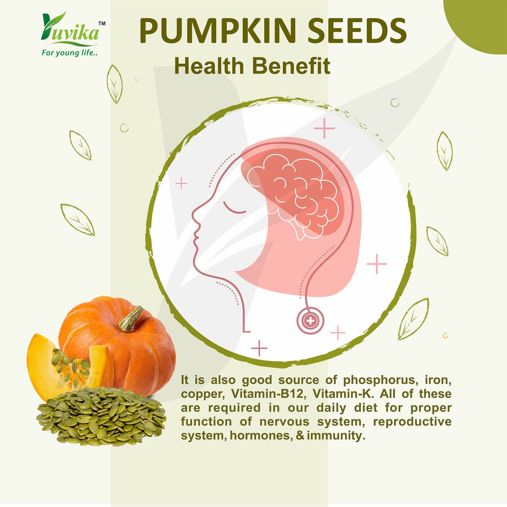 Yuvika Pumpkin Seeds - Magaz Sitaphal