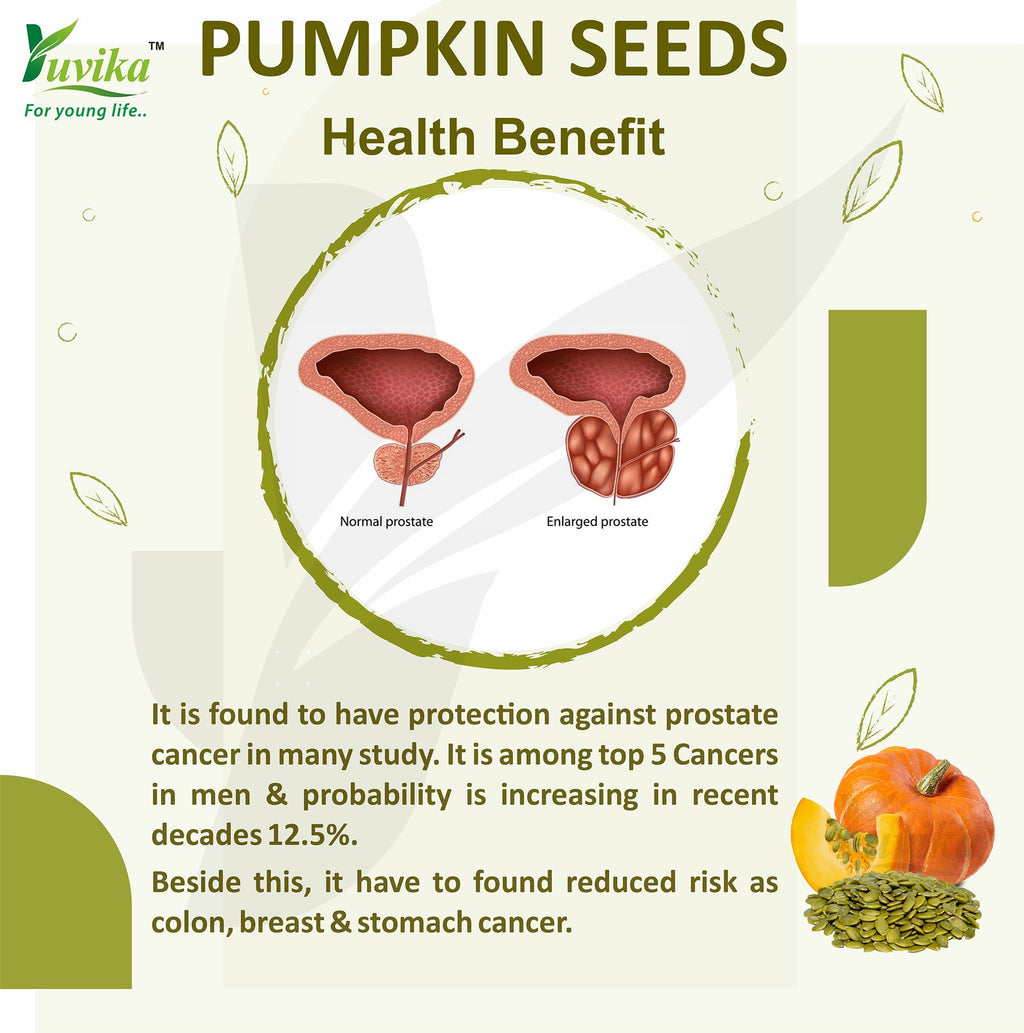 Yuvika Pumpkin Seeds - Magaz Sitaphal