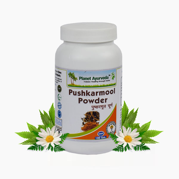 planet ayurveda pushkarmool powder - 100 gms