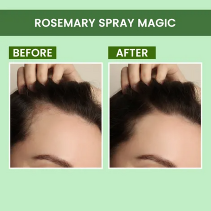 Alps Goodness Rosemary Revive Kit