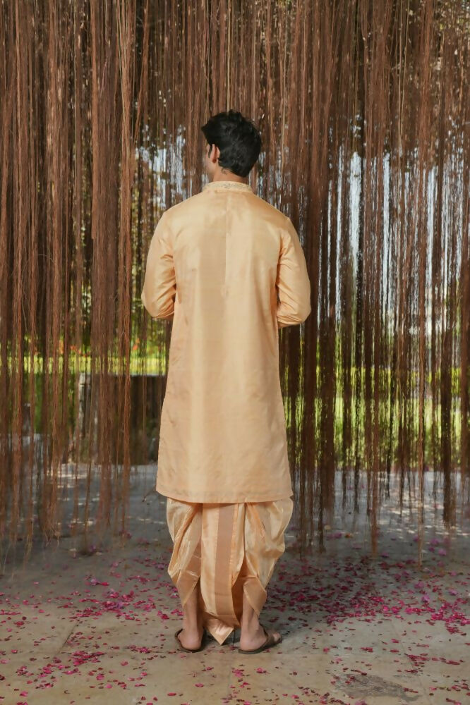 Tan Kanjivaram Hand Embroidered Pattu Set by Hilo Design