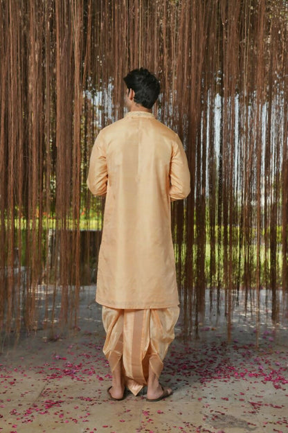 Tan Kanjivaram Hand Embroidered Pattu Set by Hilo Design