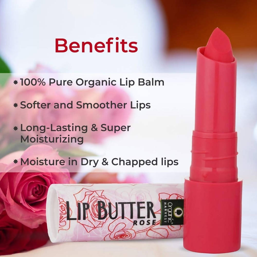 Organic Harvest Lip Butter (Rose) - 4 gms