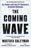 The Coming Wave : The instant Sunday Times bestseller Paperback