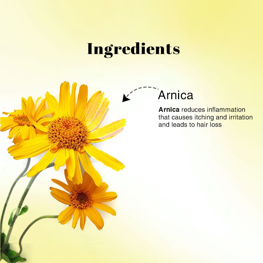 Richfeel Naturals Shampoo with Arnica - 100 ml