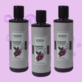 Richfeel Naturals  Sulphate Free Shampoo - 220 ml (Pack of 3)