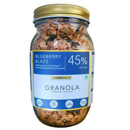 Thenibblebox Blueberry Blaze Granola