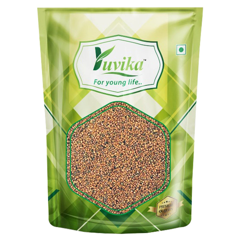 Yuvika Taramira Seeds - Tarameera Seeds - Tara Mira Seeds - Brassica eruca