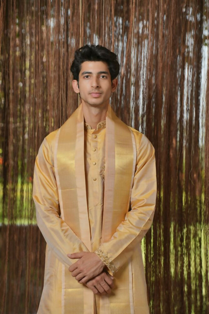 Gold Mirage Kanjivaram Machien Embroidered Pattu Set by Hilo Design