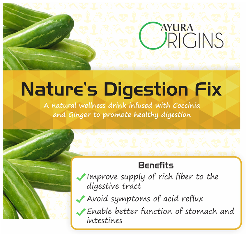 Ayura Origins Nature's Digestion Fix Powder