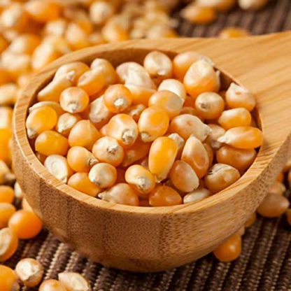 FreshoCartz Popcorn Kernel Seeds