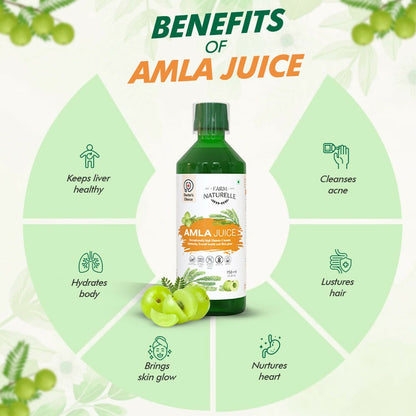 Farm Naturelle Amla Juice - Pure & Herbal for Better Health