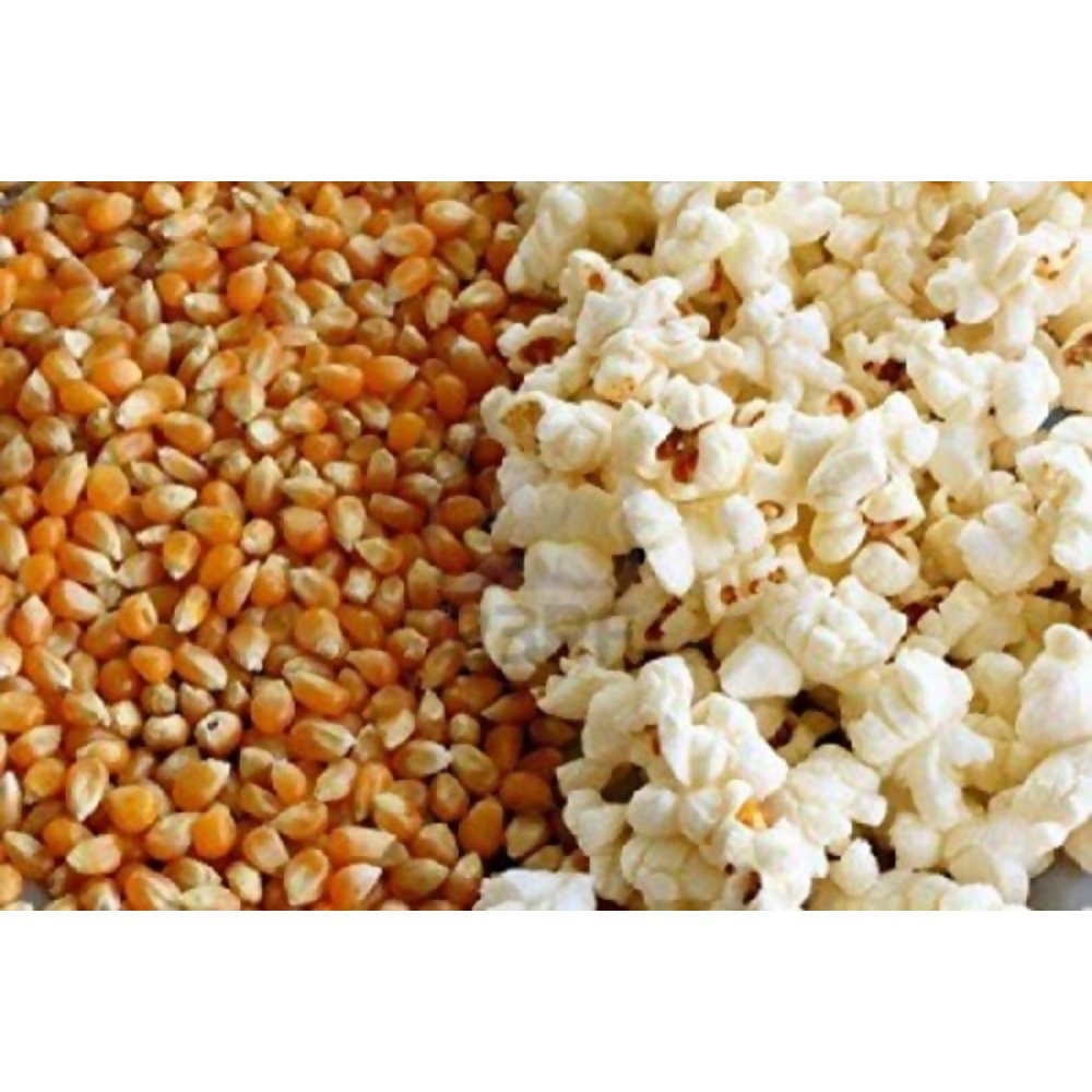 FreshoCartz Popcorn Kernel Seeds
