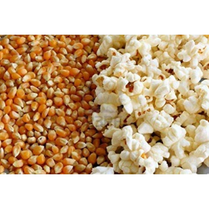 FreshoCartz Popcorn Kernel Seeds