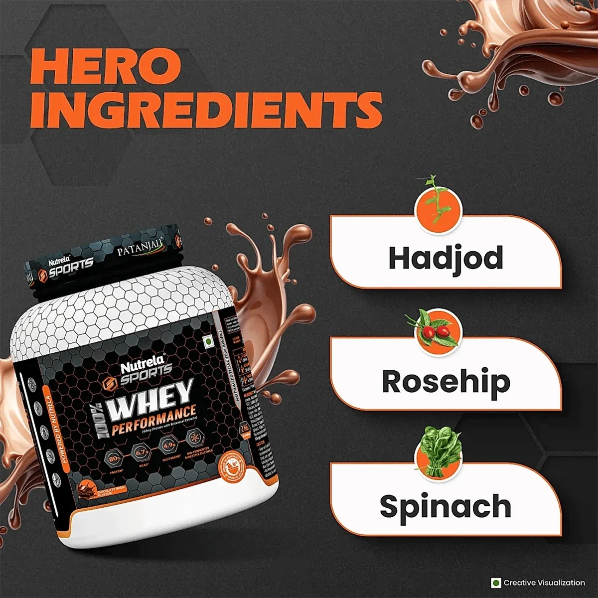 Patanjali Nutrela Sports Whey Performance (Choc-irish)