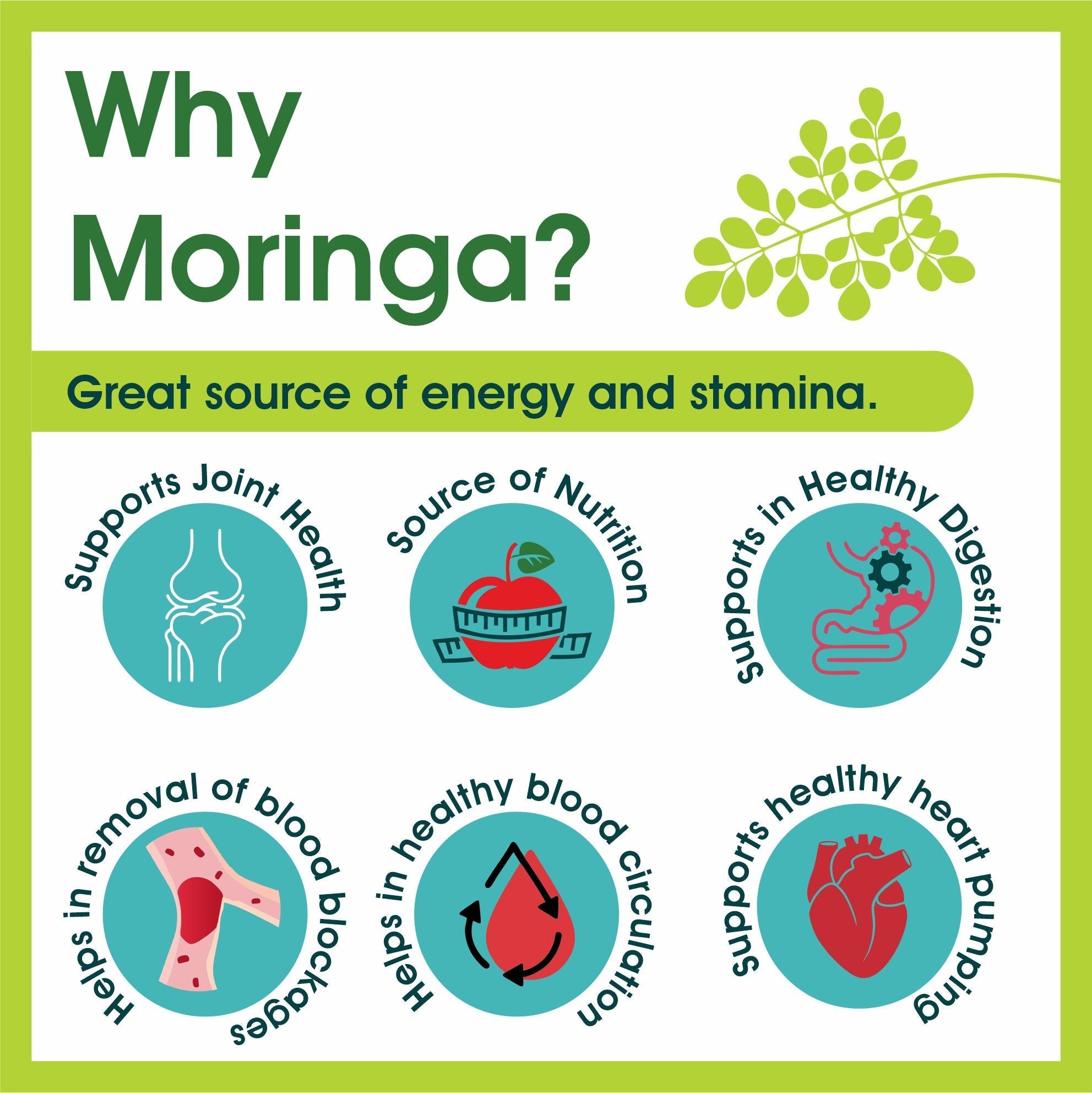Bixa Botanical Moringa / Shigru Extract - 60 Veg Capsules (450mg)