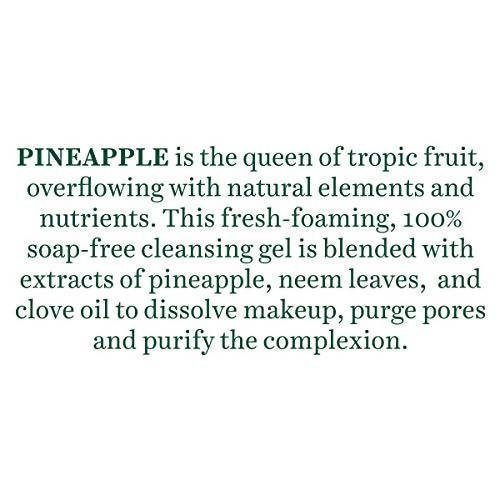 Biotique Advanced Ayurveda Bio Pineapple Oil Control Foaming Face Cleanser - 120 ml