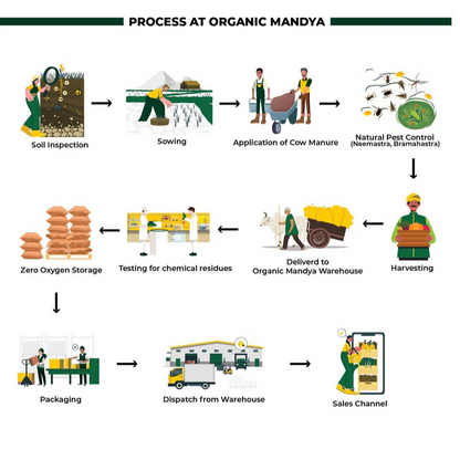 Organic Mandya Ragi Hurihittu