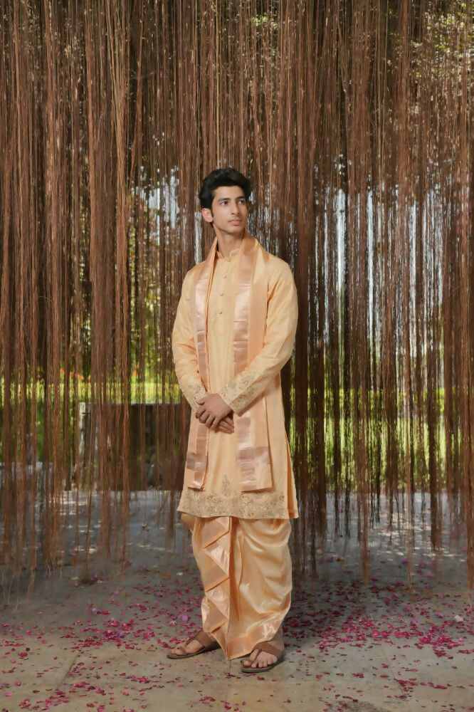 Tan Kanjivaram Hand Embroidered Pattu Set by Hilo Design