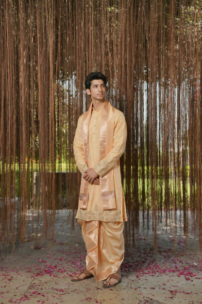 Tan Kanjivaram Hand Embroidered Pattu Set by Hilo Design