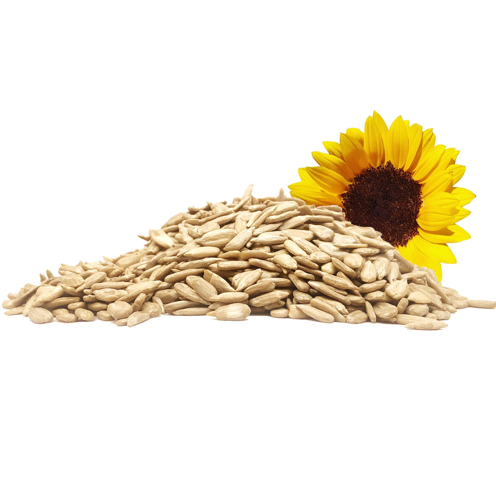 Yuvika Sunflower Seeds - Surajmukhi Magaj